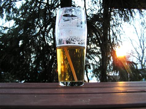 evening beer  wooden table  stock photo freeimages