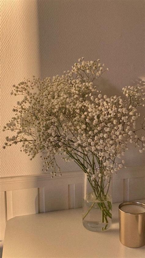 Pin di Mona su S | Sfondi floreali, Sfondi vintage, Sfondi