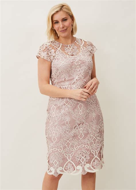 Frances Lace Fitted Dress | Phase Eight UK