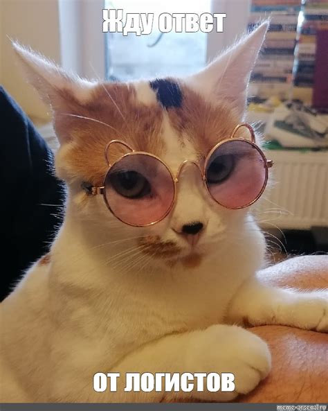 Создать мем "котик в розовых очках, милый котик, кот" - Картинки - Meme ...