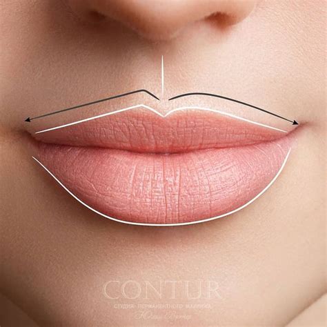 ОБУЧЕНИЕ ТАТУАЖУ no Instagram: “Форма арки Купидона 👄Арка Купидона ...