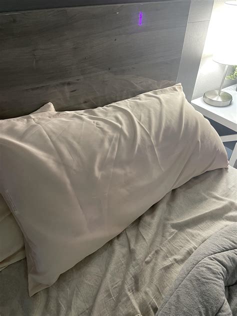 Sneesnaw (u/Sneesnawig) - Reddit