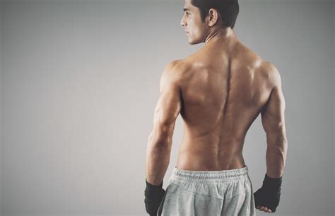 Athlon Fitness Equipment - Wellness & Health
