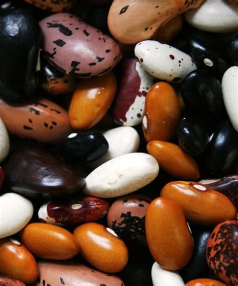 delicious ways    cook dried beans electric smoker center