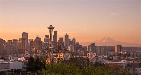 forms  documents  professional advisors seattle foundation