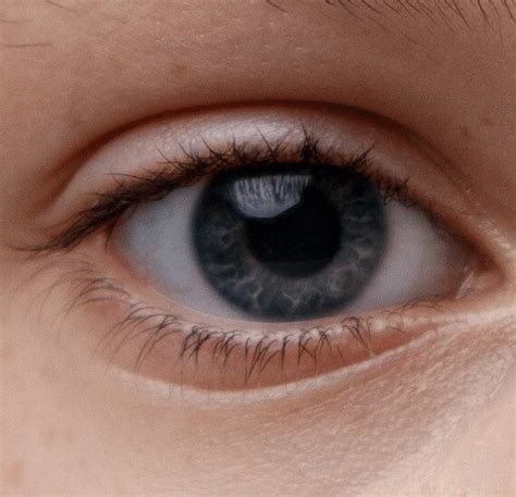 Eyes Bundle – MAGICBOX.VN