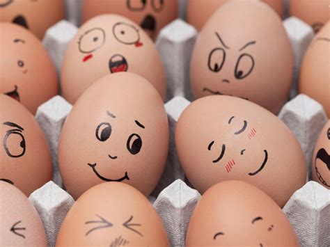 Awetya: Images Funny pictures of eggs-funny egg art