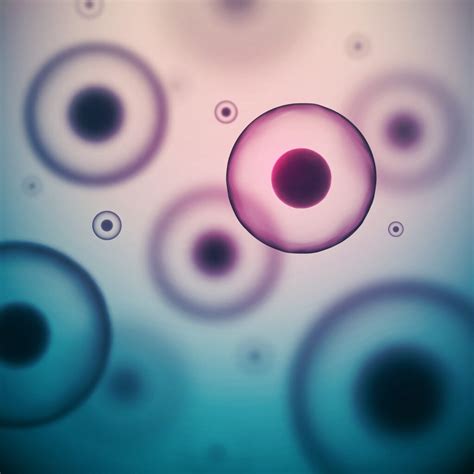 The power behind porous membranes - Advancing Cell Culture
