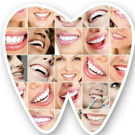 dant shalla dental clinic dental clinic logo dentist clinic dental
