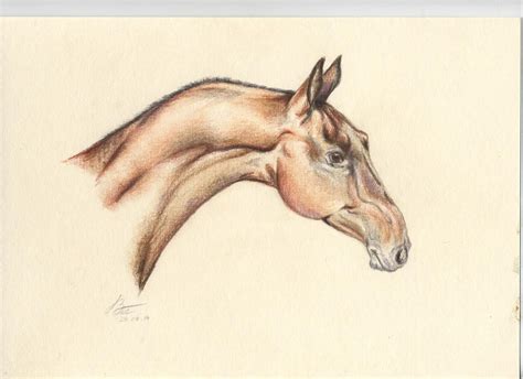 Akhal-Teke by Velkaart on DeviantArt