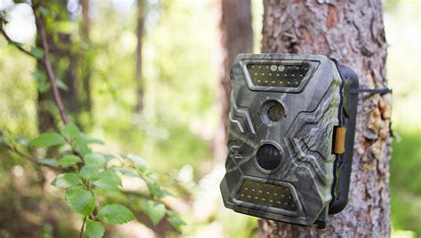 Trail Camera Buying Guide | B&H eXplora