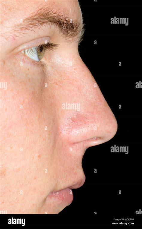 Young man s face in profile Stock Photo - Alamy
