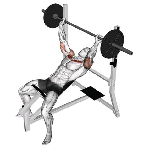 Barbell Incline Press - Exercise How-to - Workout Trainer by Skimble