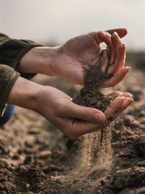 Awakening Soil Curiosity to Catalyse Soil Literacy - ECOLISE