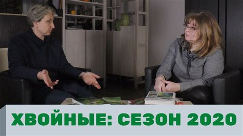 Хвойные растения, хвойные деревья, хвойные кустарники, хвойные растения ...