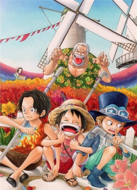 One Piece - Luffy family | Animez Wallpaper