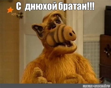 Мем: "С днюхой братан!!!" - Все шаблоны - Meme-arsenal.com