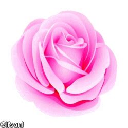 Gifs Que Se Mexem: Flores