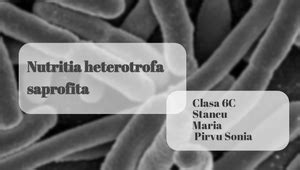 Bio-Nutritia heterotrofa saprofita by Maria Stancu on Prezi Design