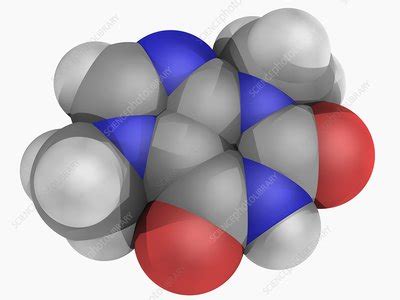 Theobromine molecule - Stock Image - F004/7412 - Science Photo Library