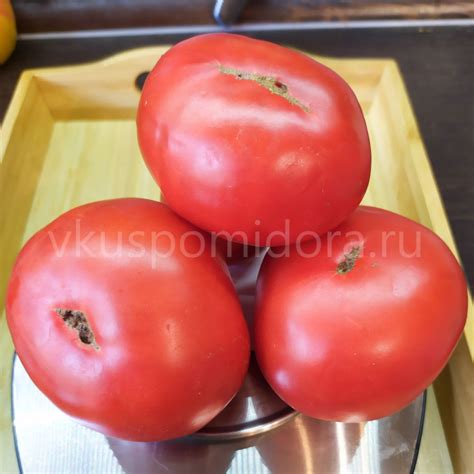 Купить семена томата сорт Ария