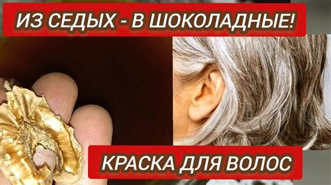 Краска для Волос от Седины Своими Руками. Натуральное Окрашивание Волос ...