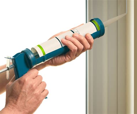 how to get rid of earwigs in house 6