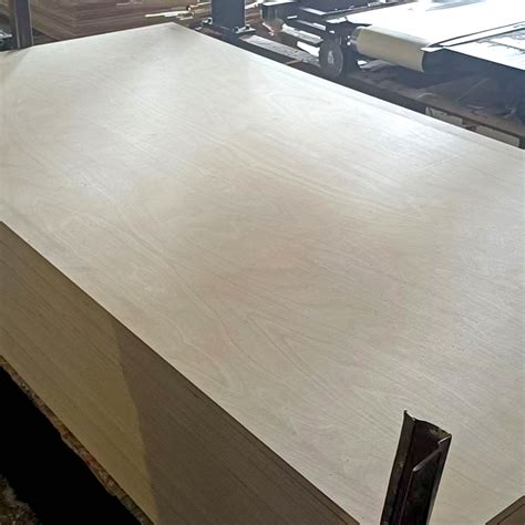 birch 4x8 plywood-Shanghai Techlon Co., Ltd.
