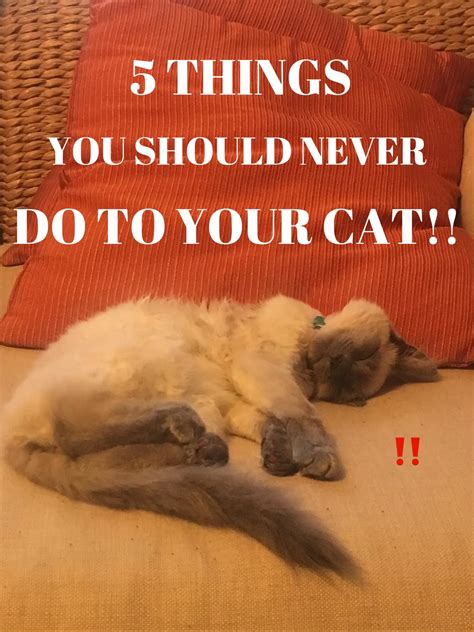 Buffalo Listcrawler: 5 Things You Should NEVER Do Image 12