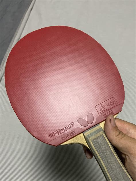 Butterfly Tenergy 19 Red 2.1mm, Sports Equipment, Sports & Games ...