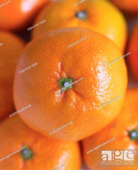 Satsumas, Stock Photo, Picture And Rights Managed Image. Pic. FOH ...