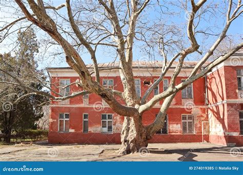 The Dacha Of The Famous Russian Artist Konstantin Korovin In The ...