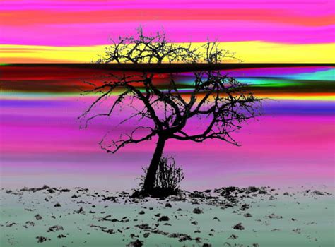 Baum - Pop - Art Foto & Bild | abstraktes, motive Bilder auf fotocommunity
