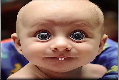super funny baby teeth picture wallpaperscom