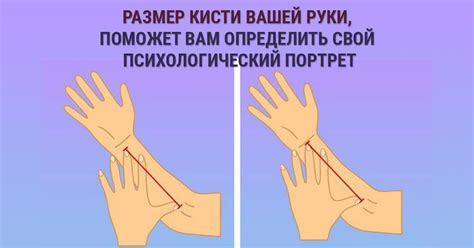 Измерив свою кисть, можно узнать особенности своего характера