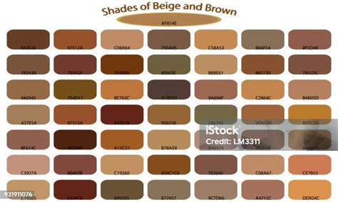 nuansa warna coklat terisolasi  latar belakang putih warna coklat