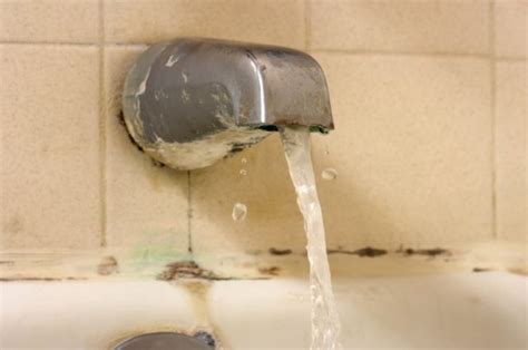 Black Mold in Bathroom: Cause, Dangers, and How to Get Rid of It