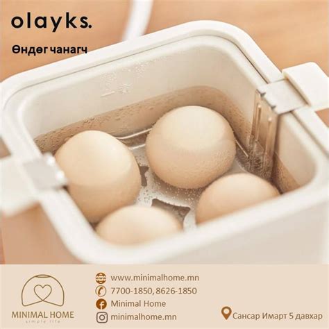 Өндөг чанагч OLK74 · Minimal Home_Simple Life