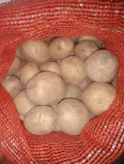 Продам картошку с ДОСТАВКОЙ: 90 тг. - Продукты питания / напитки ...