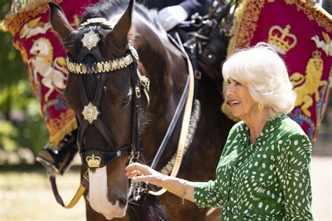 The Queen appoints a horse to carry the rank of Major - the first mare