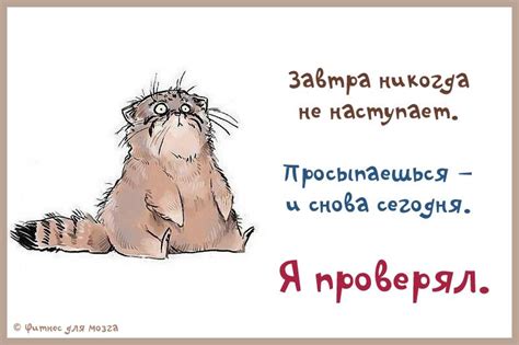 Погода в Ростове сегодня: чего ждать?
