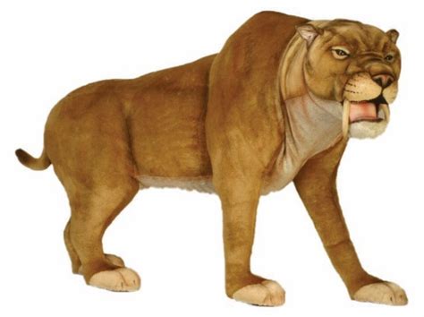 saber tooth cat cmh hamac trading