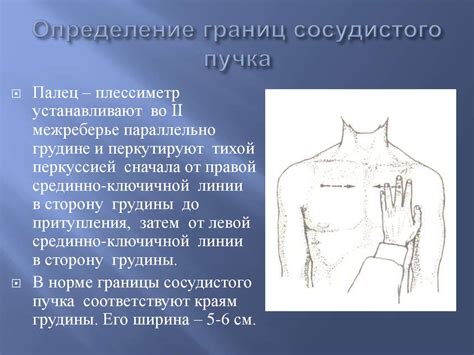 Методы исследования сердечно-сосудистой системы - презентация онлайн
