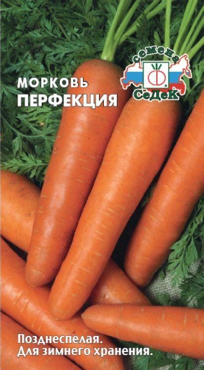 Золотая сотка алтая
