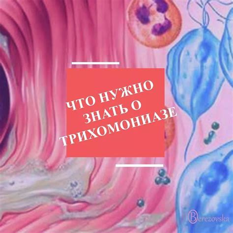 Что нужно знать о трихомониазе | Доктор Елена Березовская