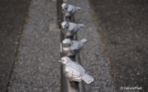 japanese aizuchi sakuramani