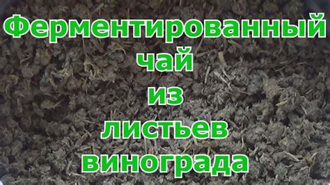 Ферментированный чай из листьев винограда. Это лучше, чем просто ...