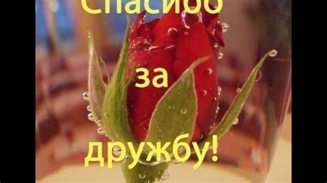 Спасибо за дружбу - YouTube