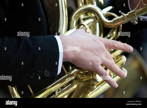Cornet instrument hi-res stock photography and images - Alamy
