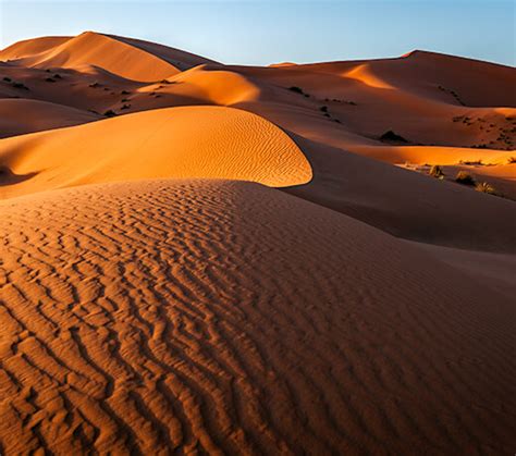 What Is a Desert? | Kids Discover Online